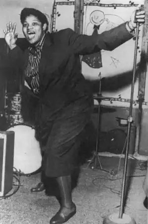 When Houston's Historic Wards Ruled American Music 5 bigmama